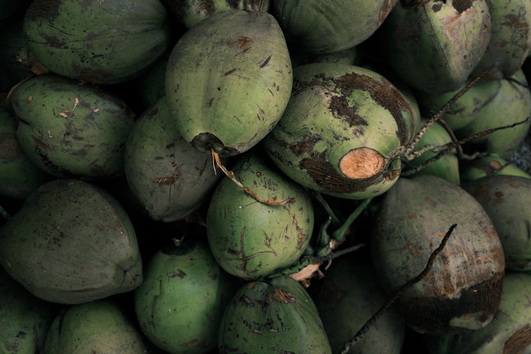 Coconut
