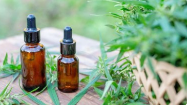 편백나무(히노끼)오일