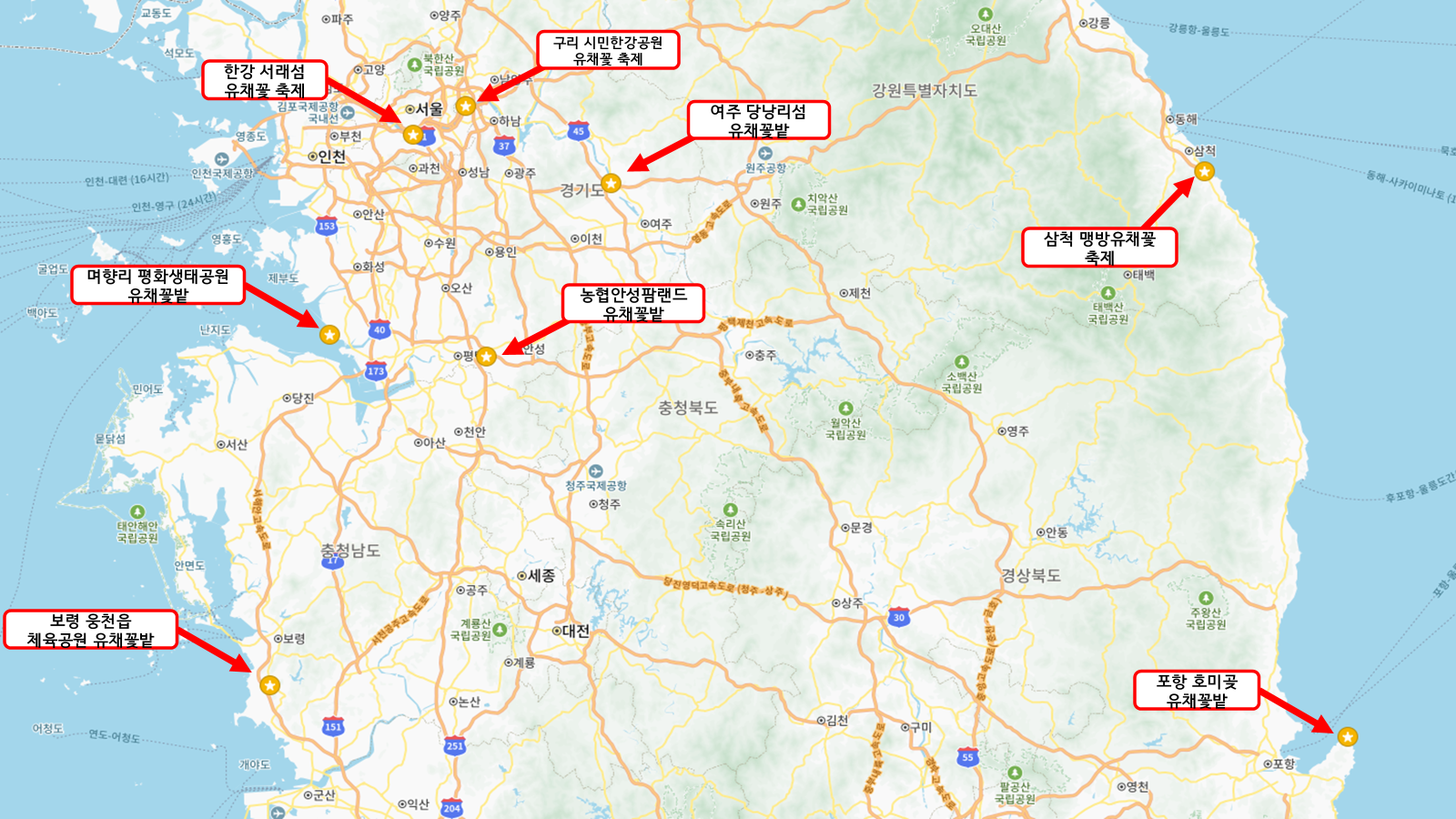 유채꽃 명소 지도