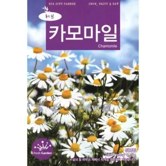 카모마일 재배 직파 심기 연속 개화 수확 건조_9