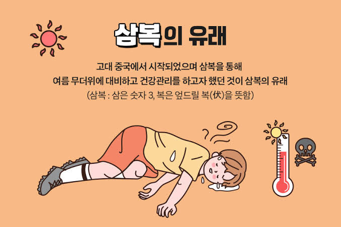 2025년 초복 중복 말복 날짜 