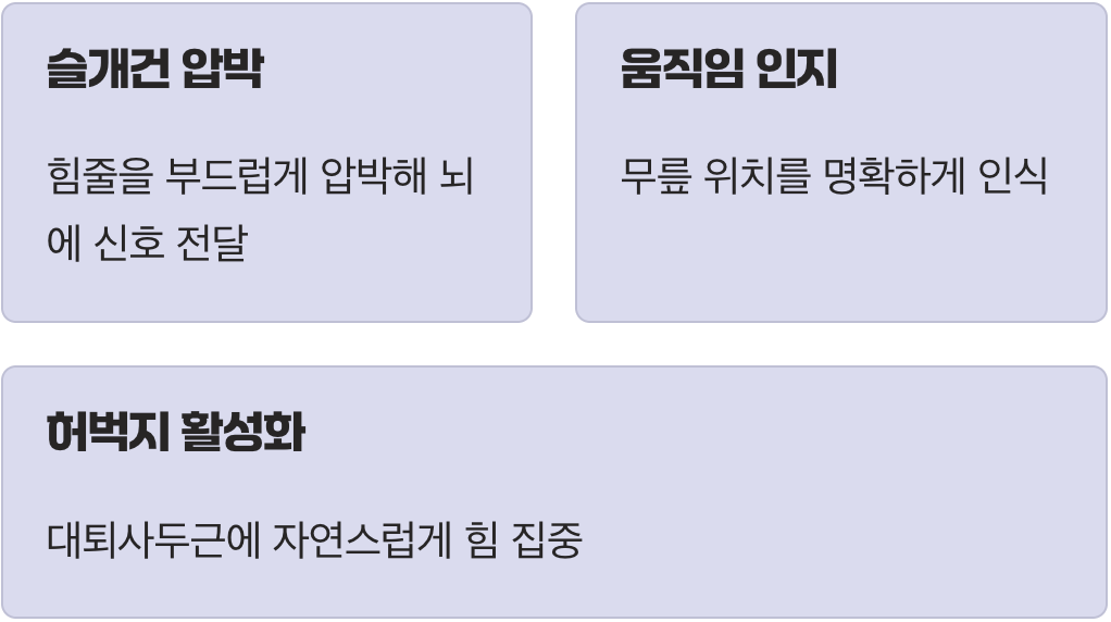 단순 압박이 아닌, 근육 활성화 스위치