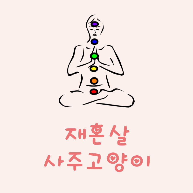 재혼살이란