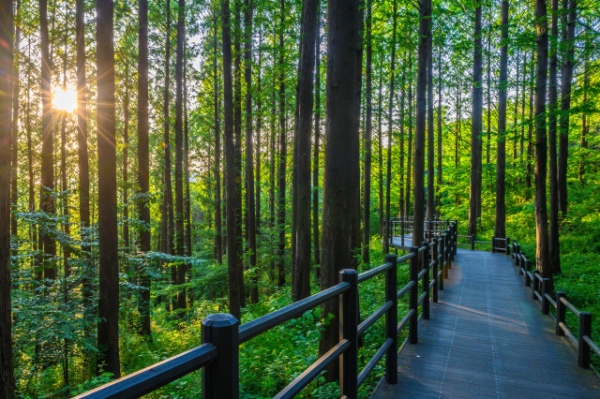 서울 안산 자락길