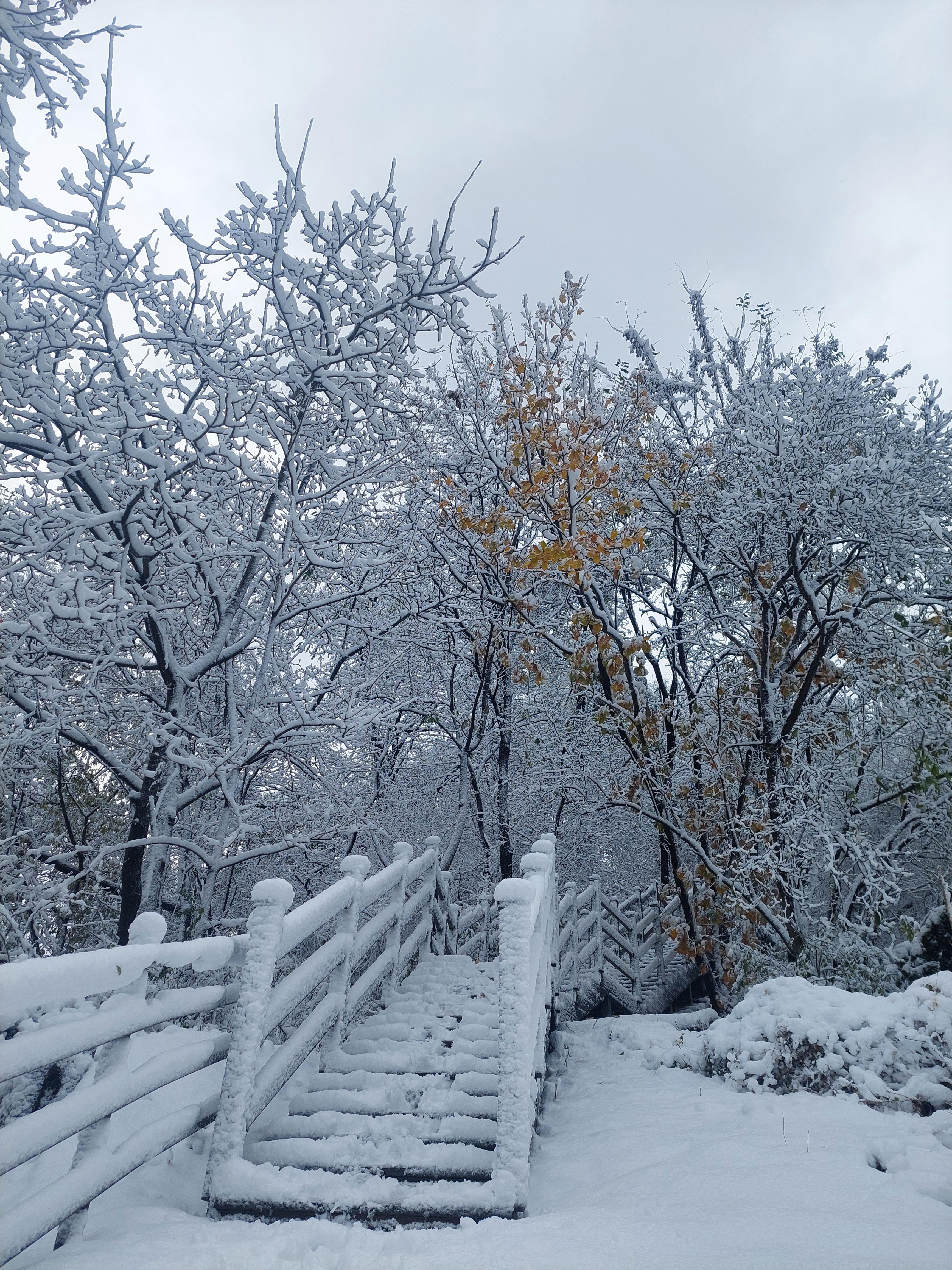 백련산안산