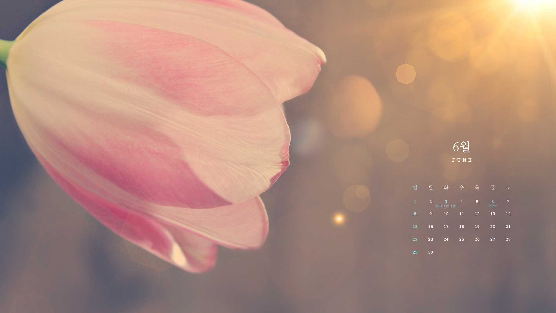 6월 달력 배경화면 프린트 출력 무료다운 PC 바탕화면 스마트폰 플래너 2025년 05