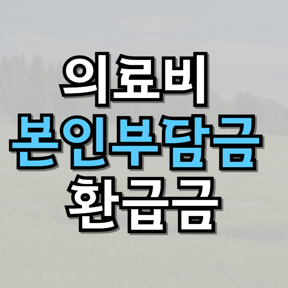 의료비 본인부담금 환급금 조회 방법