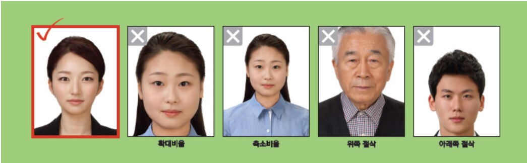 여권사진 규정 사이즈 가격 주의사항 총정리