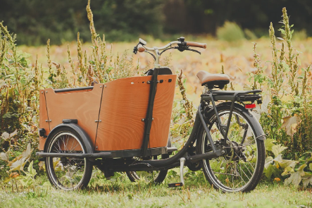 스마트폰이 만든 디지털 문화, 일상의 변화와 예절