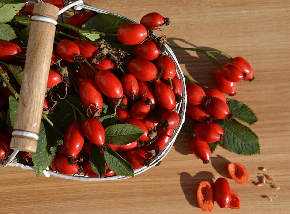 접시에 빨간 로즈힙들이 가득 있고 나무 바닥에도 열매가 있다.