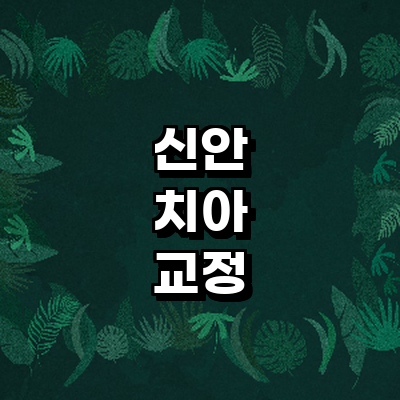 신안군 교정 치과