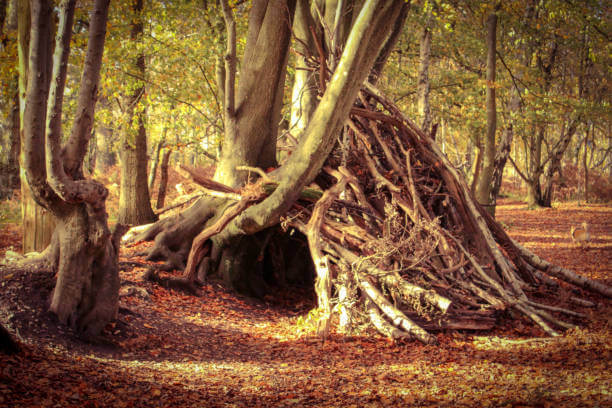 수경재배·자급자족 미니 가든을 곁들인 대피소 만들기