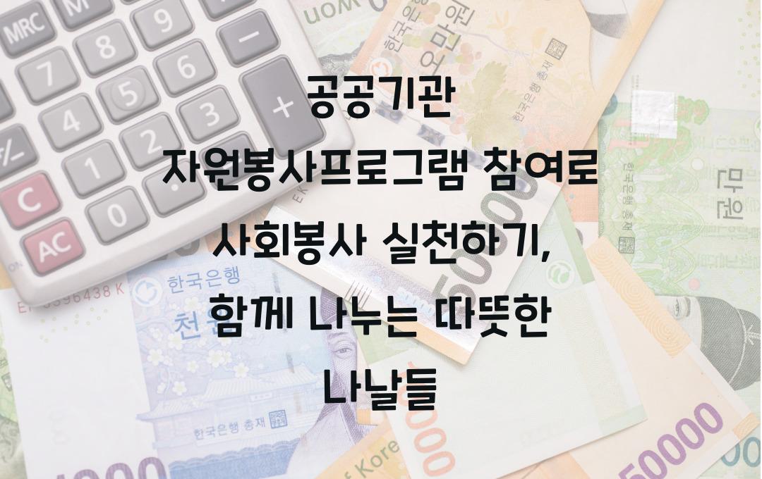 공공기관 자원봉사프로그램 참여로 사회봉사 실천하기