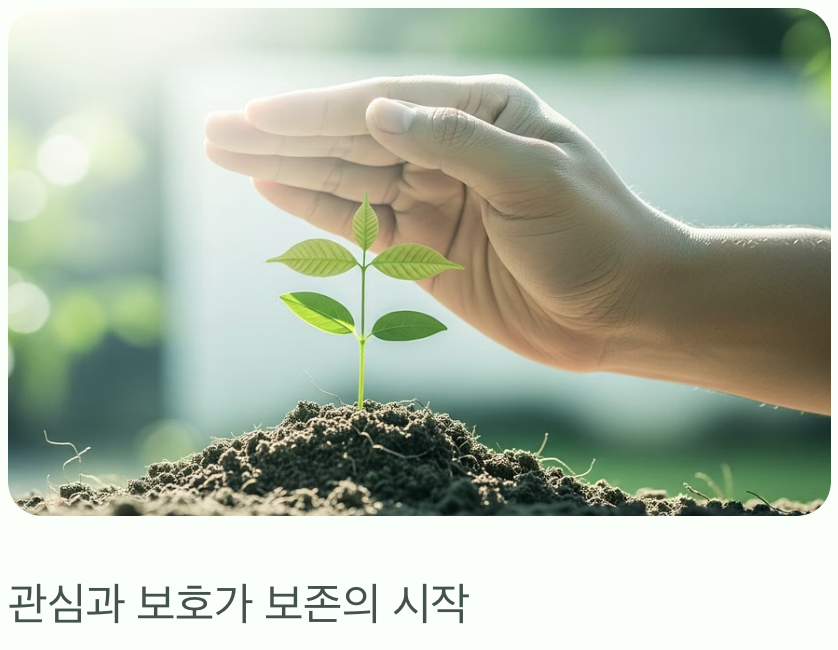 이제 우리가 지키고 사랑해야 할 보물
