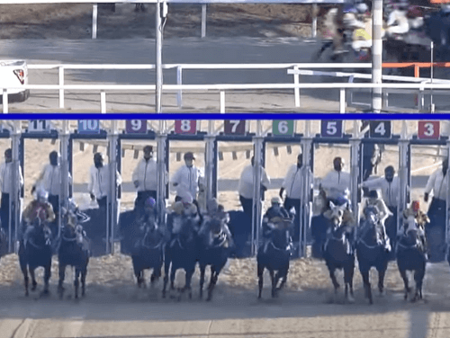 경마 마권 스마트폰으로 시작하는 방법!