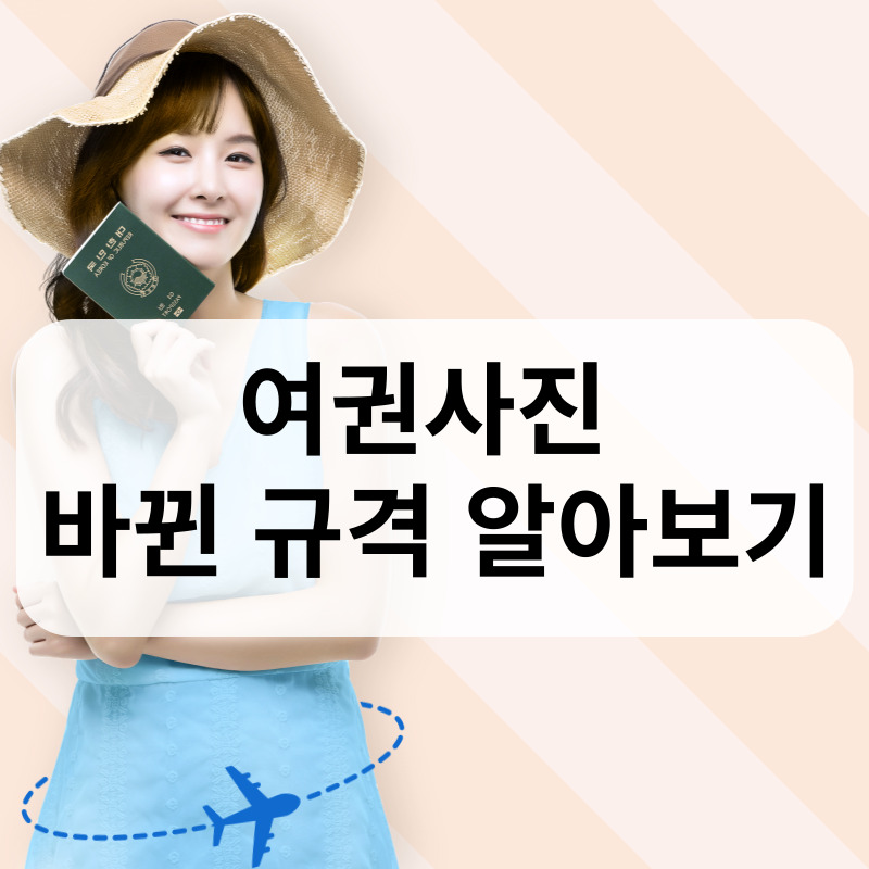 여권사진규격