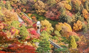 모노레일 예약 방법