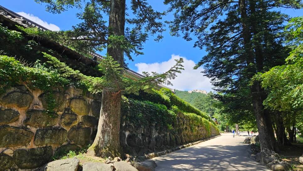 속초 신흥사 : 설악산의 숨결과 통일의 염원이 머무는 곳 설악산의 깊은 산문을 지키는 천년 고찰