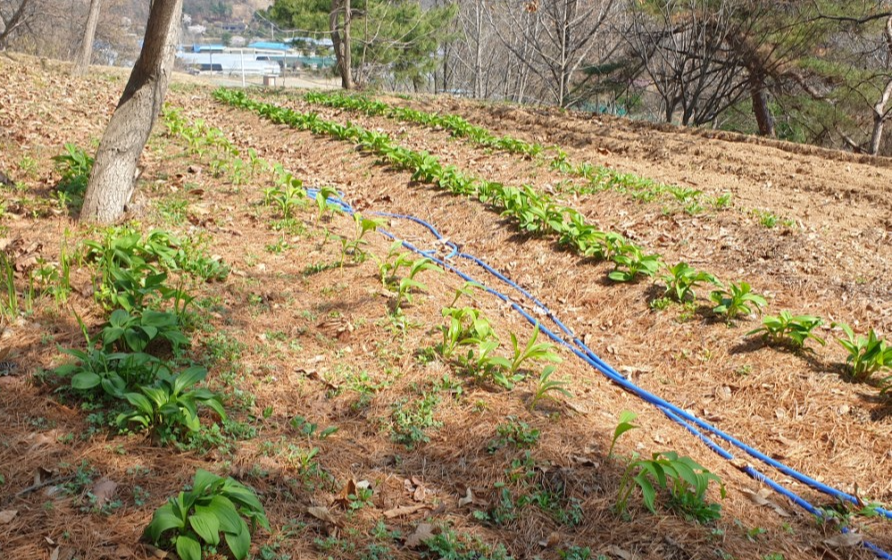 경기도 농민기본소득 신청밥법