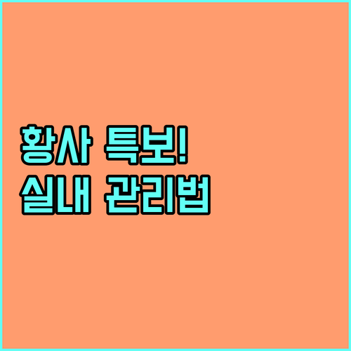 황사 특보 시 실내 습도 조절 및 공..