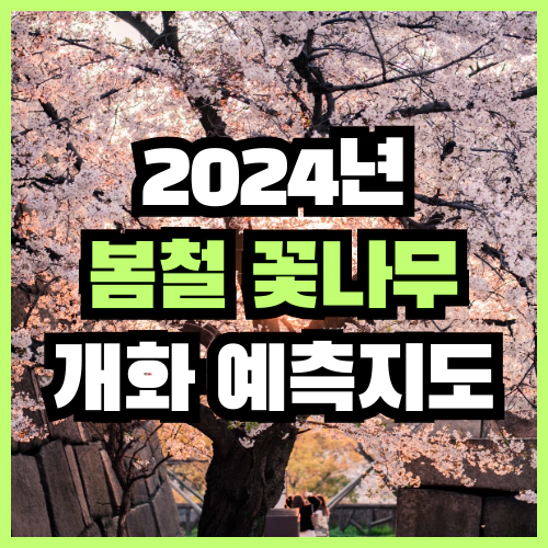 2024년 봄철 꽃나무 개화 예측지도