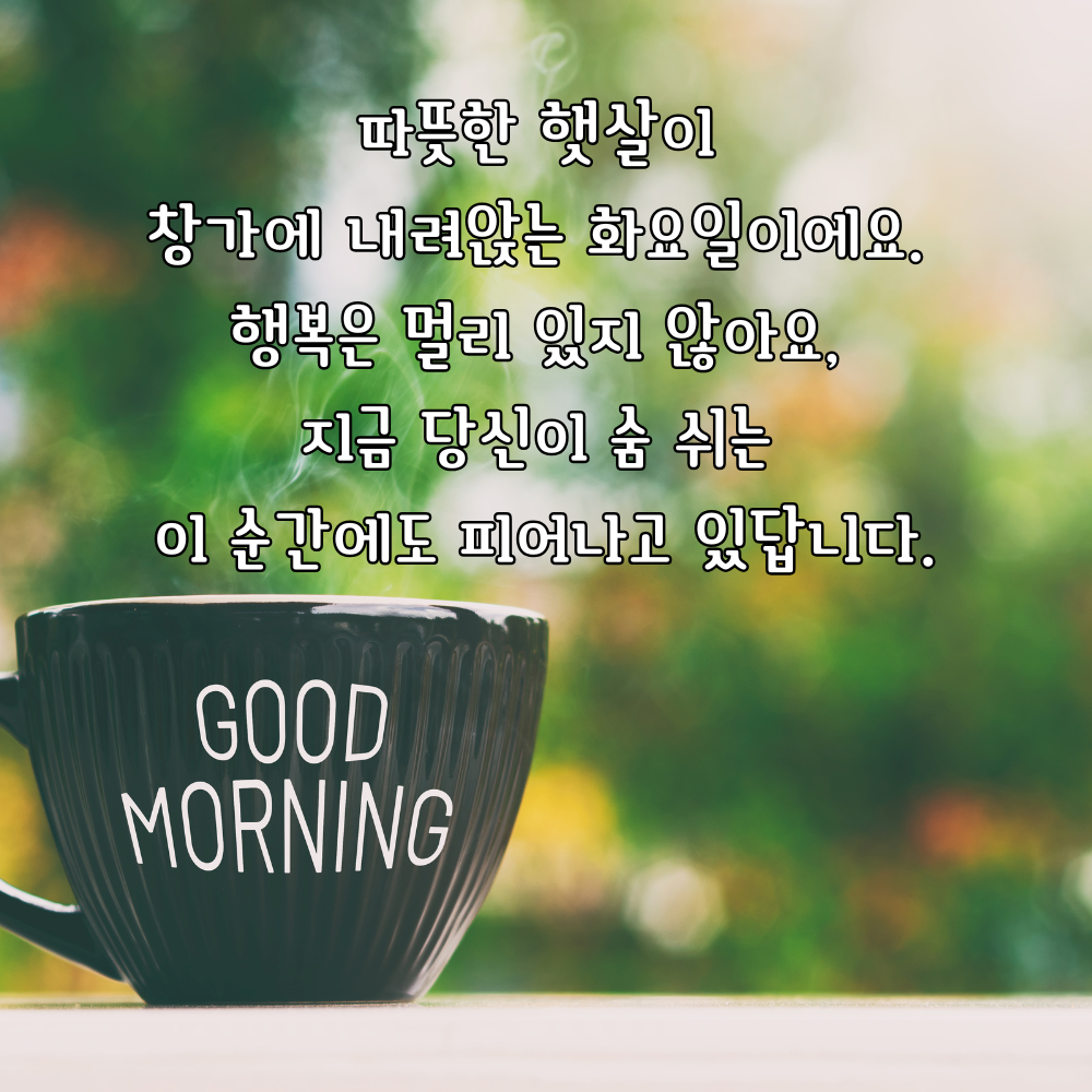 따뜻한 햇살과 행복을 전하는 화요일 아침 인사