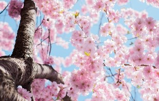 화담숲 예약 7