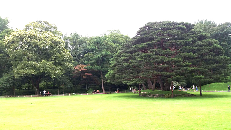 μ²μλ κ΄λμ μ²