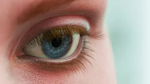 야맹증 예방을 위한 필수 영양소! 눈 건강을 지키는 비타민 A의 역할