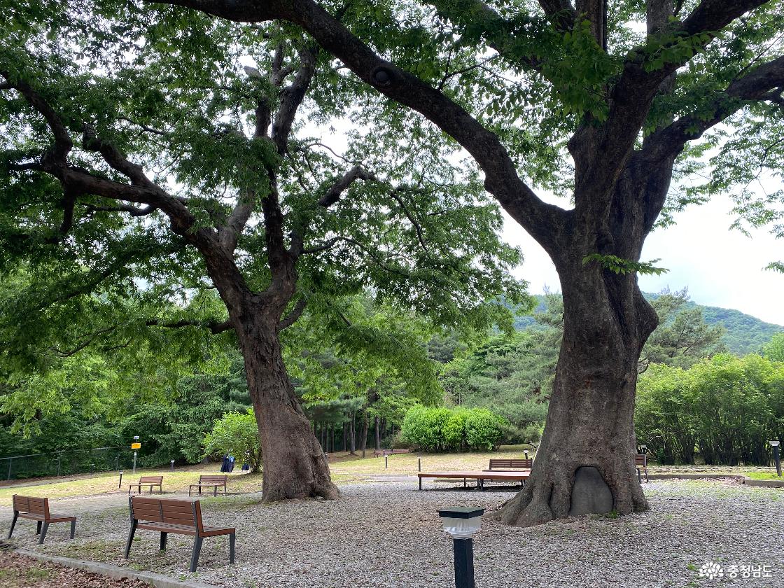 계룡 가볼만한곳 베스트10