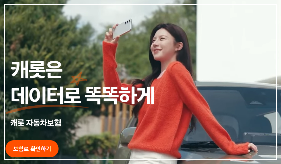 출처 캐롯 자동차 보험