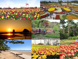 안면도꽃박람회