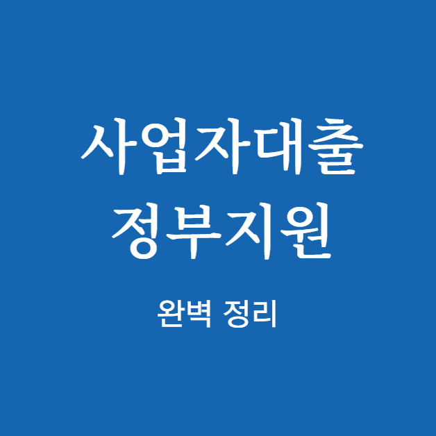 사업자대출 정부지원 완벽 정리