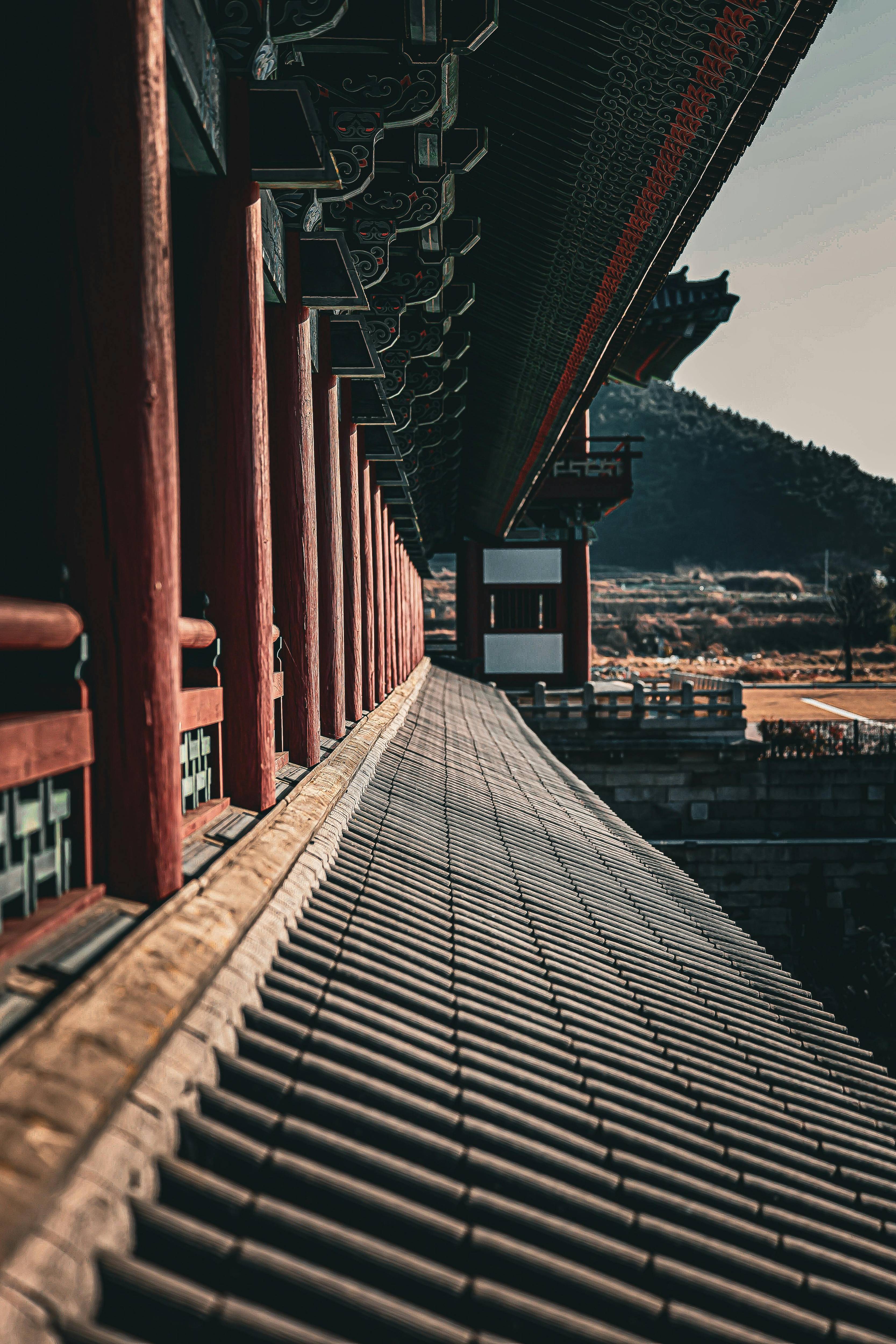APEC 뜻 완벽 정리｜아시아태평양경제협력체란? 21개국이 함께 만드는 세계 경제 협력의 중심
