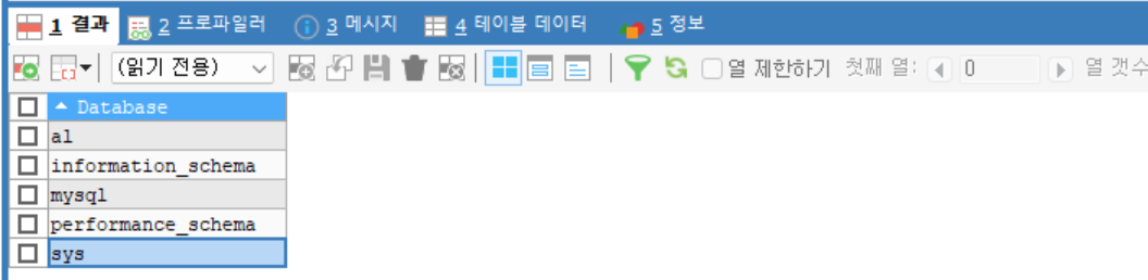Show DATABASES 출력 화면 결과