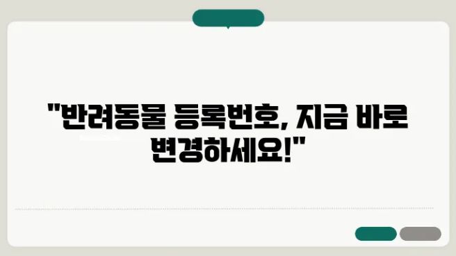 반려동물 등록번호 변경을 안내하는 문구 이미지
