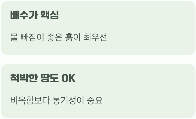 비결 2. 흙, '이것' 하나만 기억하세요