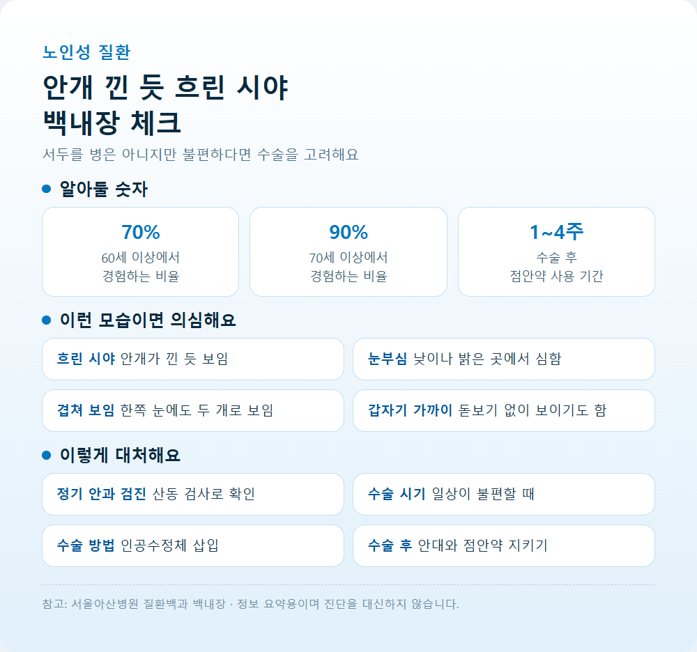 백내장 증상과 수술 시기 인포그래픽