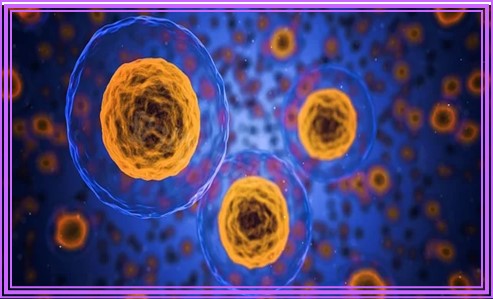 임신준비 영양제 10가지