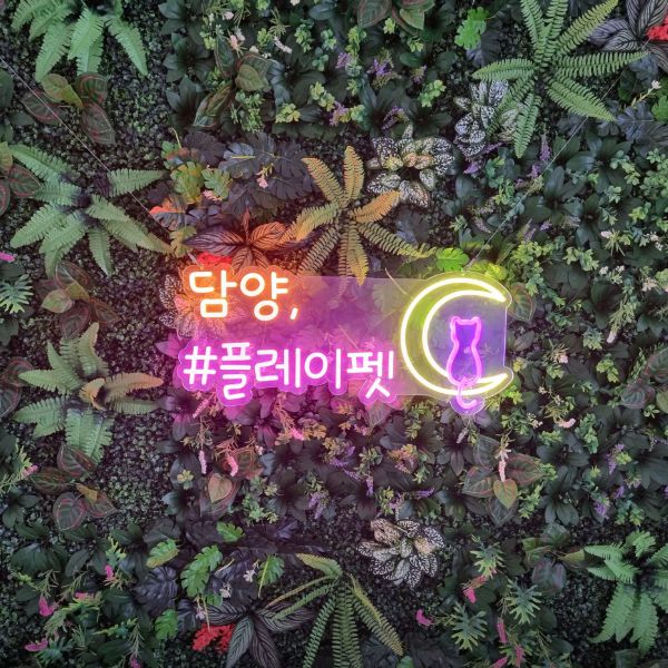플레이펫