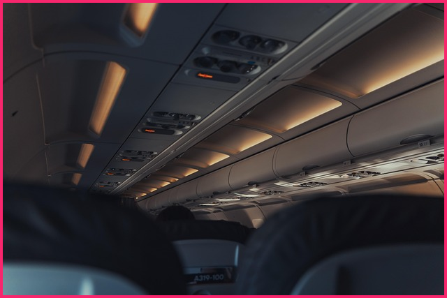 cj택배 배송조회