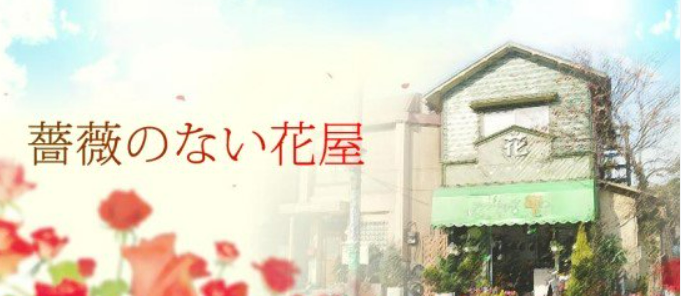 장미 없는 꽃집