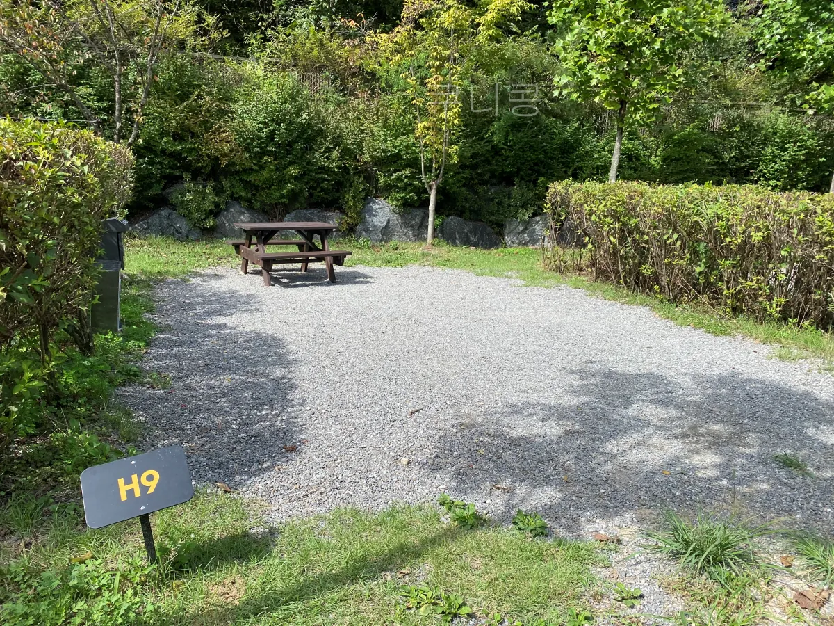 서울근교-당일캠핑-피크닉-가능한-초안산캠핑장-사이트-총정리(주차,통로위치-등)