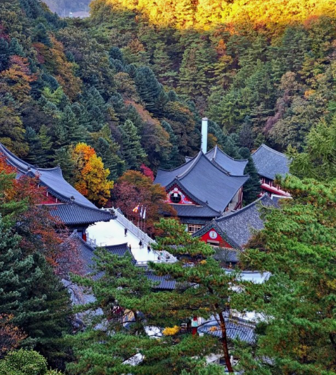 단양 구인사 사진