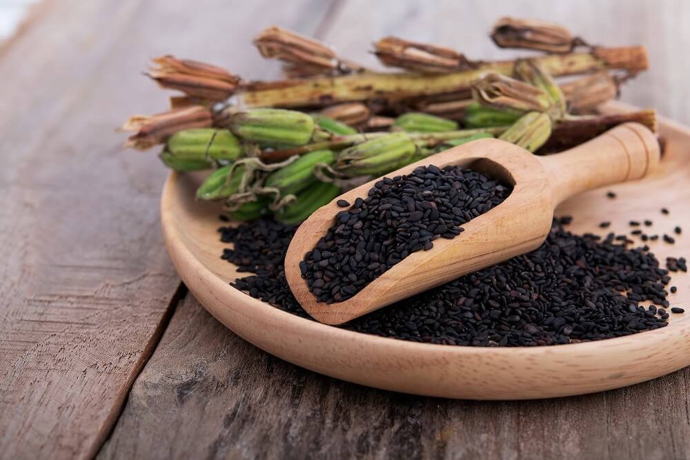 흰머리의 원인과 이유부터 흰머리에 좋은 5가지 음식 - 흰머리 관리의 모든 것