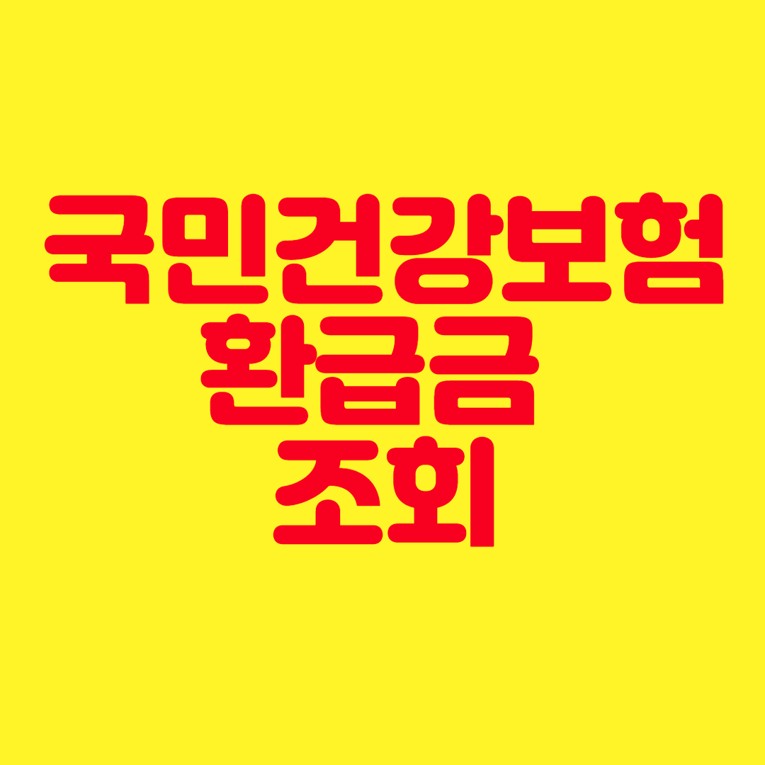 국민건강보험 환급금 조회