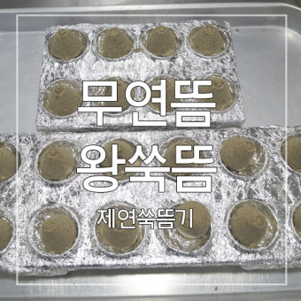 쑥뜸 제품 추천 BEST 5 : 초보자도 쉽게 사용하는 뜸 제품 가이드