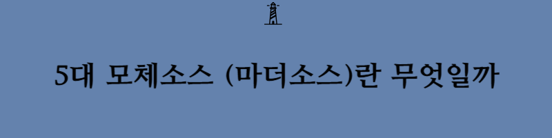 양식요리5대 모체소스에 대해서 알아보도록 하겠습니다(베샤멜,토마토,벨루테,에스파뇰,홀랜다이즈)