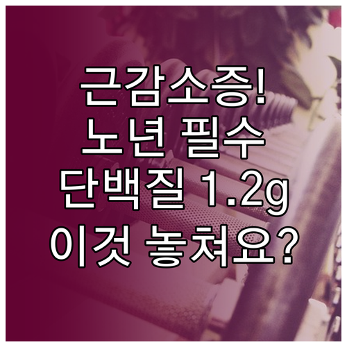 노년층 근감소증 예방 단백질 1.2g..
