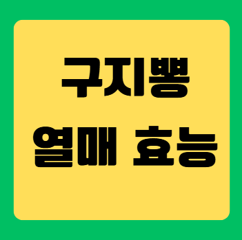 구지뽕열매효능 완벽 가이드